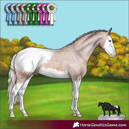 Horse Color:Chestnut Splash Snowcap