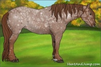 Horse Color:Chestnut Ice 