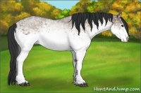 Horse Color:White Spotted Bay Ice Dun 
