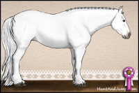 Horse Color:Gray Chestnut Splash 