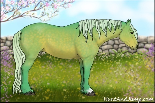 Horse Color:Watercolor Silver Bay 