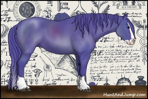 Horse Color:Watercolor Black Splash 