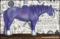 Horse Color:Watercolor Black Splash