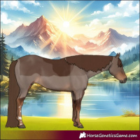 Horse Color:Gray Chestnut 