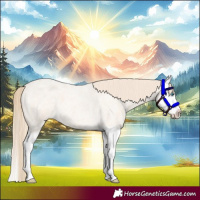 Horse Color:Perlino Ice Roan Splash