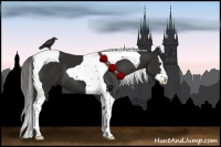 Horse Color:Liver Chestnut Splash Tobiano 