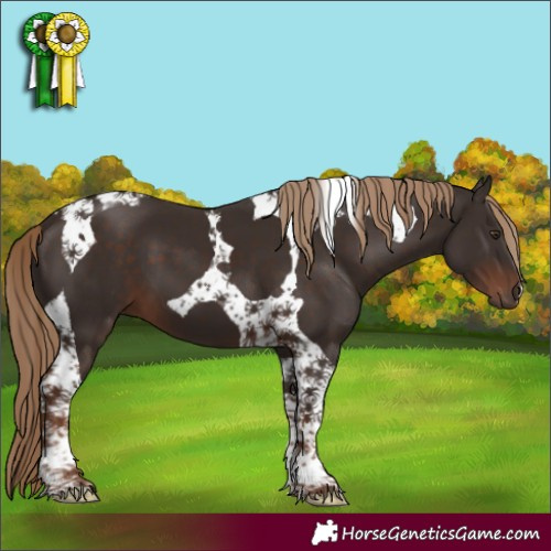 Horse Color:Liver Chestnut Tobiano 