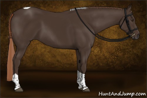 Horse Color:Liver Chestnut Tobiano 