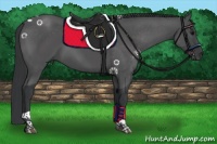 Horse Color:Black Tobiano