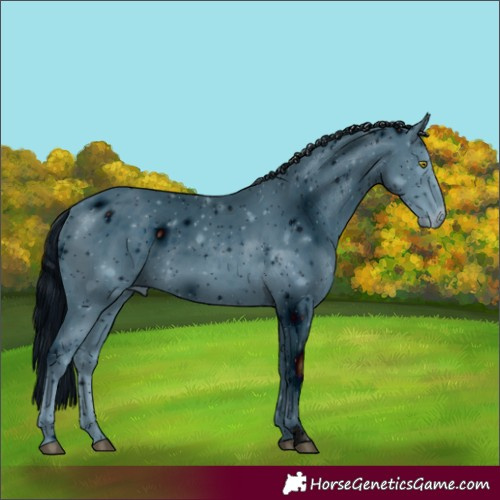 Horse Color:ERROR: UNKNOWN ANOMALY