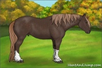 Horse Color:Liver Chestnut Tobiano 
