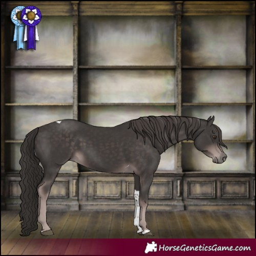 Horse Color:Platinum Liver Chestnut Tobiano 