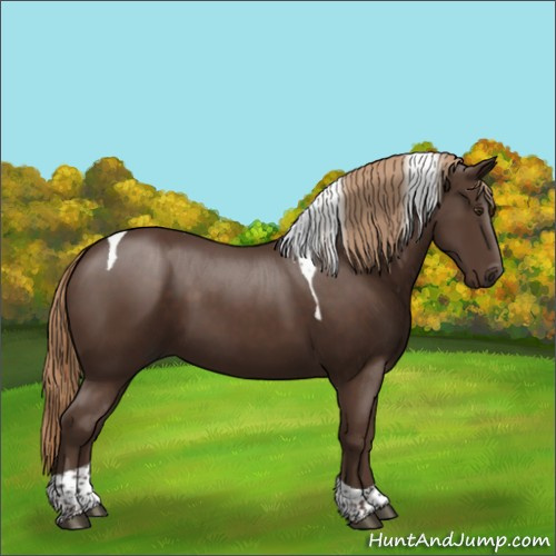 Horse Color:Liver Chestnut Pearl Tobiano 
