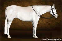 Horse Color:Chocolate Palomino Pearl Splash Tobiano Rabicano