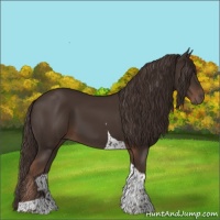 Horse Color:Liver Chestnut Tobiano 
