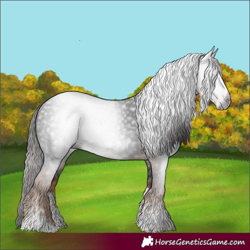 Horse Color:Gray White Spotted Liver Chestnut Tobiano