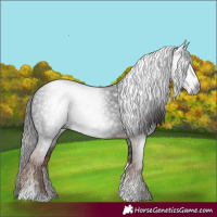 Horse Color:Gray White Spotted Liver Chestnut Tobiano 