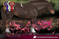Horse Color:Liver Chestnut Tobiano