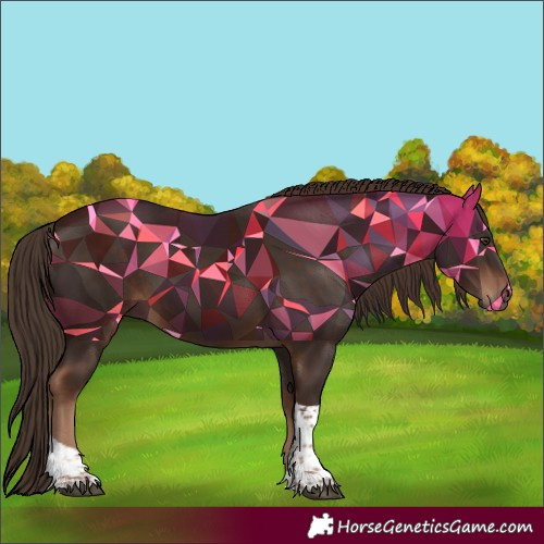 Horse Color:Liver Chestnut Tobiano 