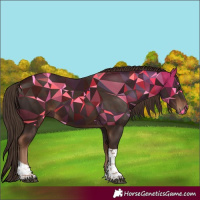 Horse Color:Liver Chestnut Tobiano 