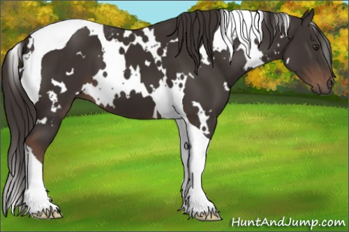 Horse Color:White Spotted Liver Chestnut Tobiano