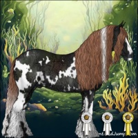 Horse Color:White Spotted Liver Chestnut Ice 