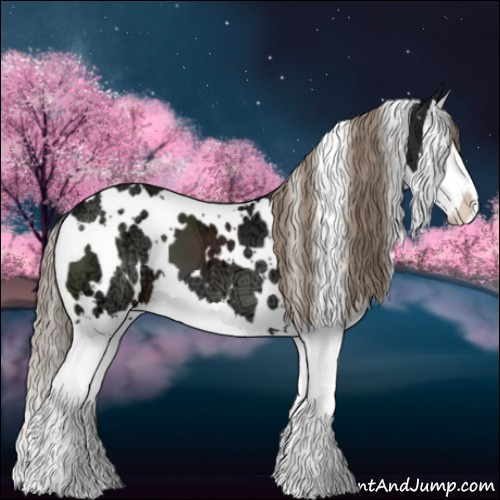Horse Color:White Spotted Liver Chestnut Ice Splash