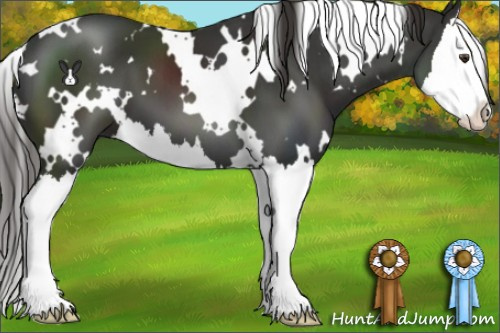 Horse Color:White Spotted Liver Chestnut Splash 