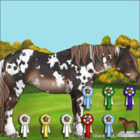 Horse Color:White Spotted Liver Chestnut 
