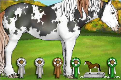 Horse Color:White Spotted Liver Chestnut Splash 