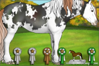 Horse Color:White Spotted Liver Chestnut Splash 