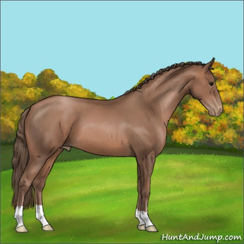 Horse Color:Black Pearl