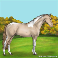 Horse Color:Liver Red Dun Pearl Tobiano 