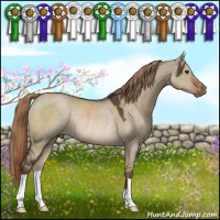 Horse Color:Liver Red Dun Rabicano 