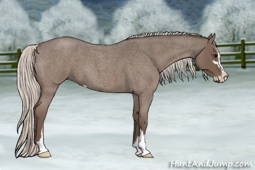 Horse Color:Silver Blue Roan Sabino