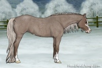 Horse Color:Silver Blue Roan Sabino 