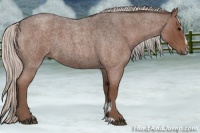 Horse Color:Silver Blue Roan Sabino 