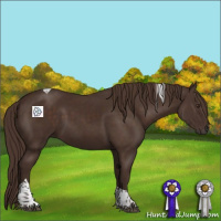 Horse Color:Liver Chestnut Tobiano