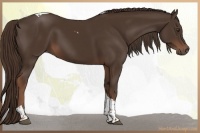 Horse Color:Liver Chestnut Tobiano 
