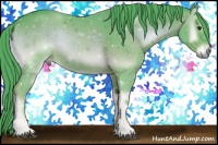 Horse Color:Watercolor Red Onyx 