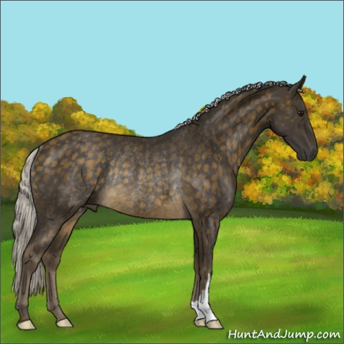Horse Color:Silver Buckskin Rabicano 