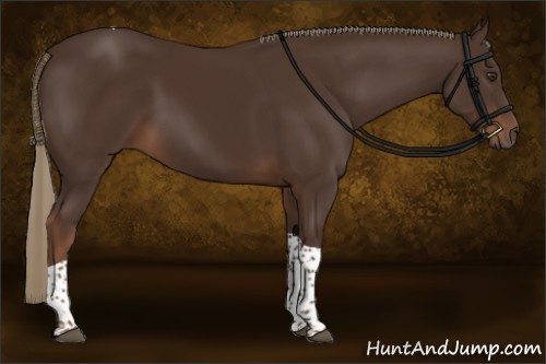 Horse Color:Liver Chestnut Tobiano