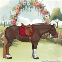 Horse Color:Liver Chestnut Tobiano 