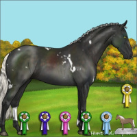 Horse Color:White Spotted Liver Chestnut Mushroom 