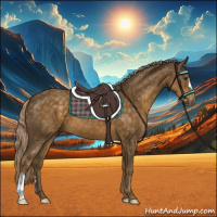 Horse Color:Chocolate Palomino 
