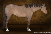 Horse Color:Liver Red Dun Rabicano 