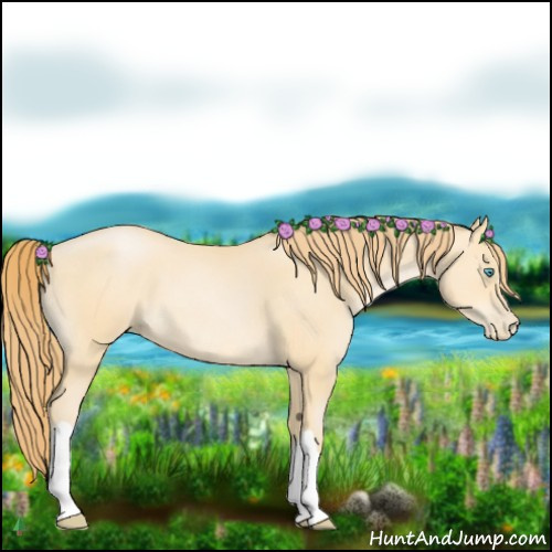 Horse Color:Buckskin Pearl
