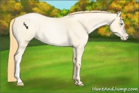Horse Color:Smoky Blue Roan Pearl 