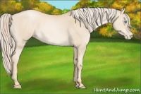 Horse Color:Palomino Pearl 