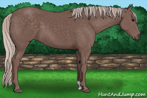 Horse Color:Chocolate Silver Black 